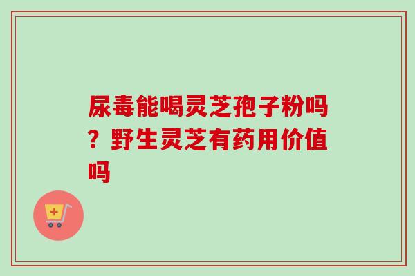 尿毒能喝灵芝孢子粉吗？野生灵芝有药用价值吗-第1张图片-卓越灵芝孢子粉