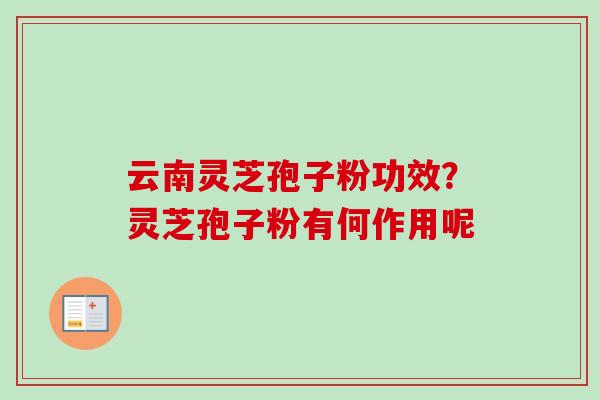 云南灵芝孢子粉功效？灵芝孢子粉有何作用呢-第1张图片-卓越灵芝孢子粉