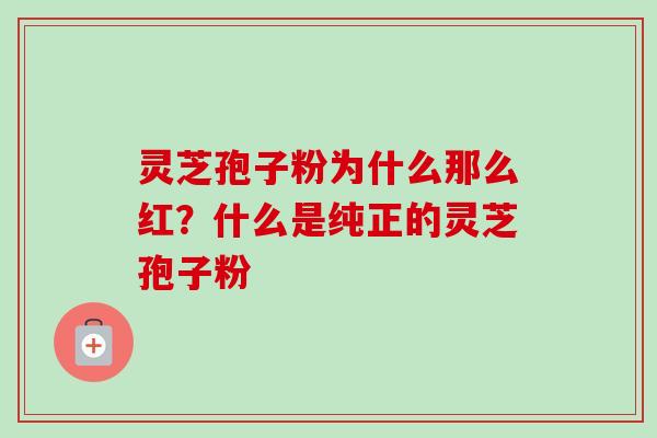 灵芝孢子粉为什么那么红?什么是纯正的灵芝孢子粉-第1张图片-卓越灵芝孢子粉 灵芝孢子粉为什么那么红?什么是纯正的灵芝孢子粉-第1张图片-卓越灵芝孢子粉