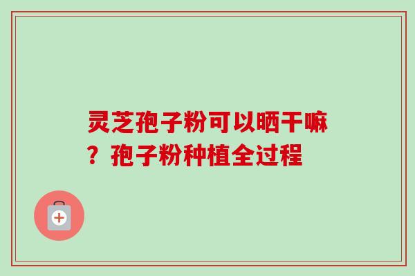 灵芝孢子粉可以晒干嘛?孢子粉种植全过程-第1张图片-卓越灵芝孢子粉 灵芝孢子粉可以晒干嘛?孢子粉种植全过程-第1张图片-卓越灵芝孢子粉