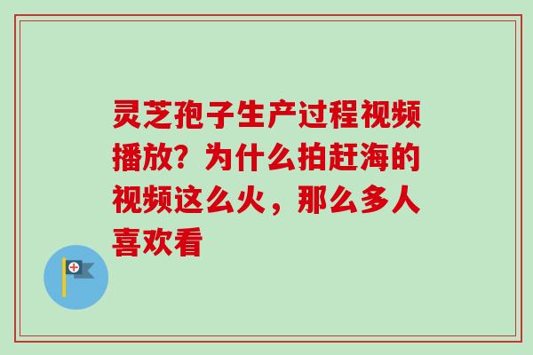 灵芝孢子生产过程视频播放？为什么拍赶海的视频这么火，那么多人喜欢看-第1张图片-卓越灵芝孢子粉