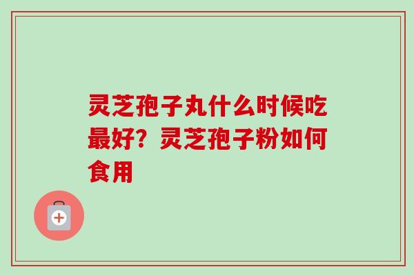 灵芝孢子丸什么时候吃最好?灵芝孢子粉如何食用-第1张图片-卓越灵芝孢子粉 灵芝孢子丸什么时候吃最好?灵芝孢子粉如何食用-第1张图片-卓越灵芝孢子粉
