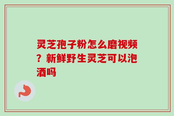 灵芝孢子粉怎么磨视频?新鲜野生灵芝可以泡酒吗-第1张图片-卓越灵芝孢子粉 灵芝孢子粉怎么磨视频?新鲜野生灵芝可以泡酒吗-第1张图片-卓越灵芝孢子粉
