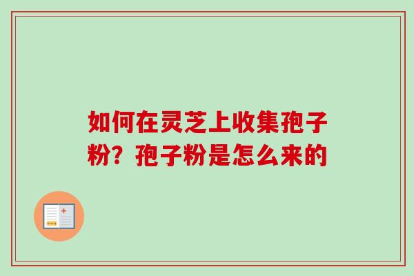 如何在灵芝上收集孢子粉?孢子粉是怎么来的-第1张图片-卓越灵芝孢子粉 如何在灵芝上收集孢子粉?孢子粉是怎么来的-第1张图片-卓越灵芝孢子粉