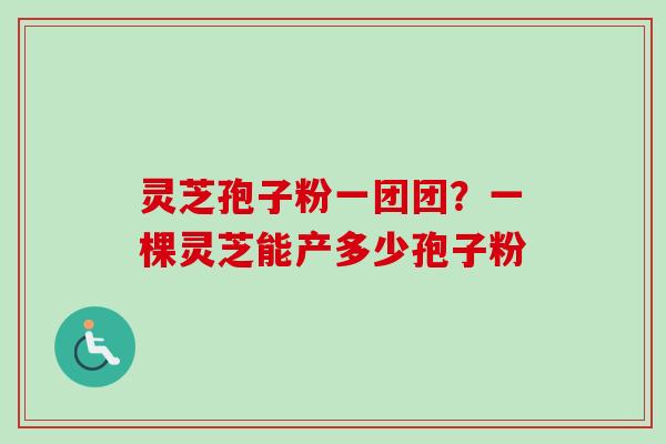灵芝孢子粉一团团？一棵灵芝能产多少孢子粉-第1张图片-卓越灵芝孢子粉