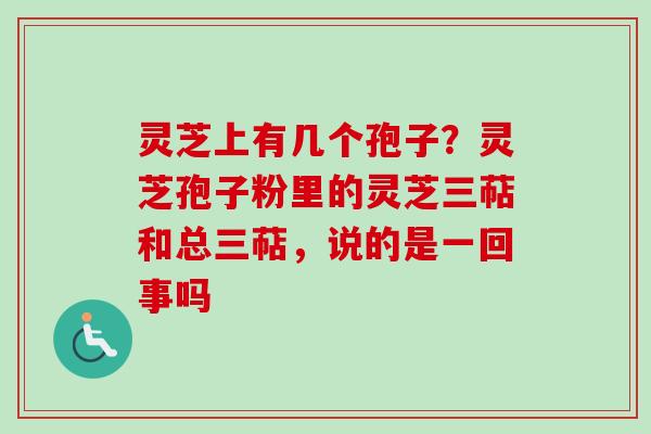 灵芝上有几个孢子？灵芝孢子粉里的灵芝三萜和总三萜，说的是一回事吗-第1张图片-卓越灵芝孢子粉