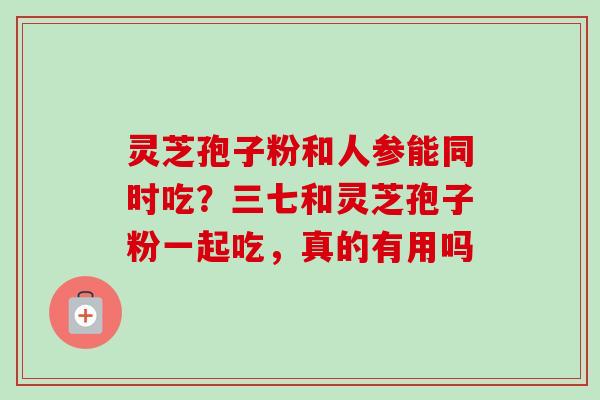 灵芝孢子粉和人参能同时吃?三七和灵芝孢子粉一起吃,真的有用吗-第1张图片-卓越灵芝孢子粉 灵芝孢子粉和人参能同时吃?三七和灵芝孢子粉一起吃,真的有用吗-第1张图片-卓越灵芝孢子粉