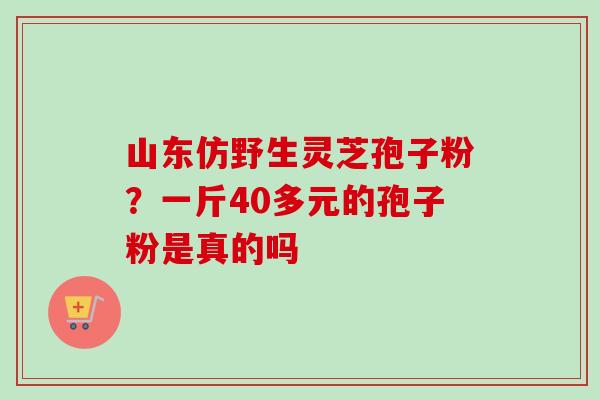山东仿野生灵芝孢子粉?一斤40多元的孢子粉是真的吗-第1张图片-卓越灵芝孢子粉 山东仿野生灵芝孢子粉?一斤40多元的孢子粉是真的吗-第1张图片-卓越灵芝孢子粉