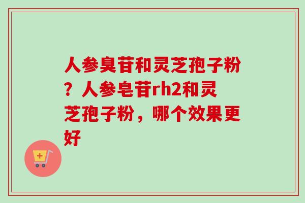 人参臭苷和灵芝孢子粉？人参皂苷rh2和灵芝孢子粉，哪个效果更好-第1张图片-卓越灵芝孢子粉