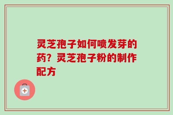 灵芝孢子如何喷发芽的药？灵芝孢子粉的制作配方-第1张图片-卓越灵芝孢子粉