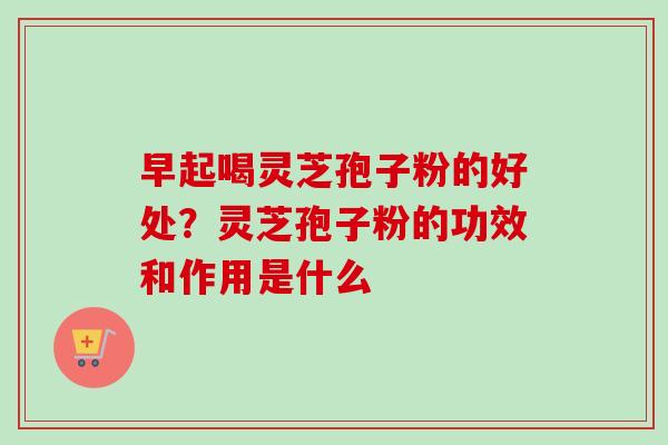 早起喝灵芝孢子粉的好处？灵芝孢子粉的功效和作用是什么-第1张图片-卓越灵芝孢子粉
