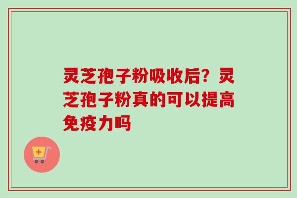 灵芝孢子粉吸收后?灵芝孢子粉真的可以提高免疫力吗-第1张图片-卓越灵芝孢子粉 灵芝孢子粉吸收后?灵芝孢子粉真的可以提高免疫力吗-第1张图片-卓越灵芝孢子粉
