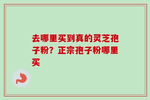 去哪里买到真的灵芝孢子粉？正宗孢子粉哪里买-第1张图片-卓越灵芝孢子粉