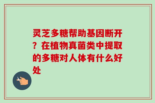 灵芝多糖帮助基因断开？在植物真菌类中提取的多糖对人体有什么好处-第1张图片-卓越灵芝孢子粉
