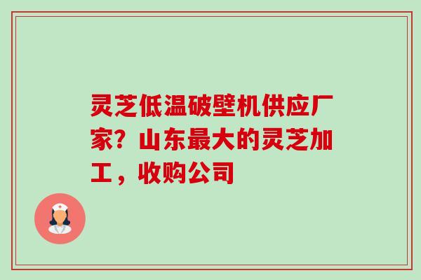 灵芝低温破壁机供应厂家?山东最大的灵芝加工,收购公司-第1张图片-卓越灵芝孢子粉 灵芝低温破壁机供应厂家?山东最大的灵芝加工,收购公司-第1张图片-卓越灵芝孢子粉