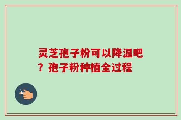 灵芝孢子粉可以降温吧？孢子粉种植全过程-第1张图片-卓越灵芝孢子粉