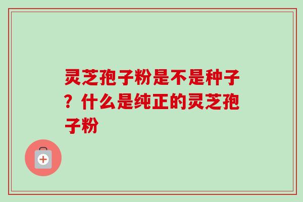 灵芝孢子粉是不是种子?什么是纯正的灵芝孢子粉-第1张图片-卓越灵芝孢子粉 灵芝孢子粉是不是种子?什么是纯正的灵芝孢子粉-第1张图片-卓越灵芝孢子粉