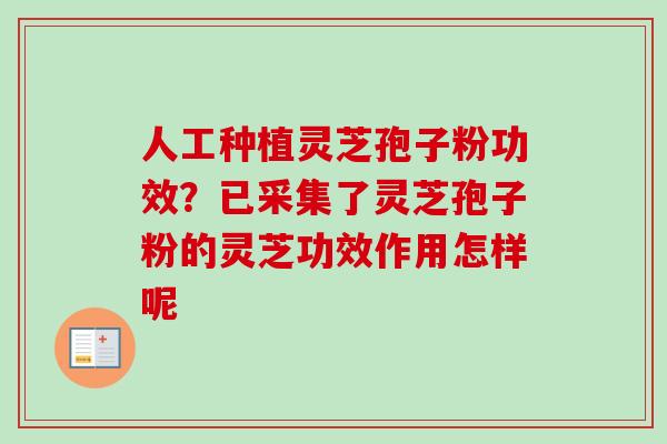 人工种植灵芝孢子粉功效?已采集了灵芝孢子粉的灵芝功效作用怎样呢-第1张图片-卓越灵芝孢子粉 人工种植灵芝孢子粉功效?已采集了灵芝孢子粉的灵芝功效作用怎样呢-第1张图片-卓越灵芝孢子粉