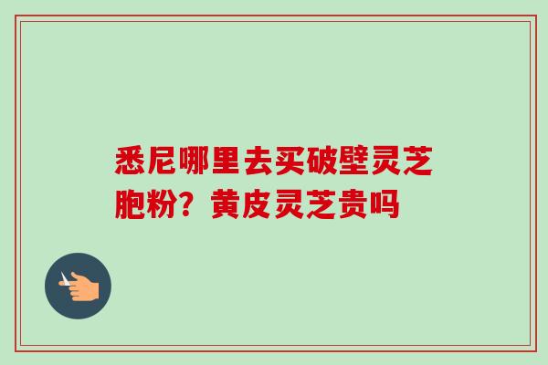 悉尼哪里去买破壁灵芝胞粉?黄皮灵芝贵吗-第1张图片-卓越灵芝孢子粉 悉尼哪里去买破壁灵芝胞粉?黄皮灵芝贵吗-第1张图片-卓越灵芝孢子粉