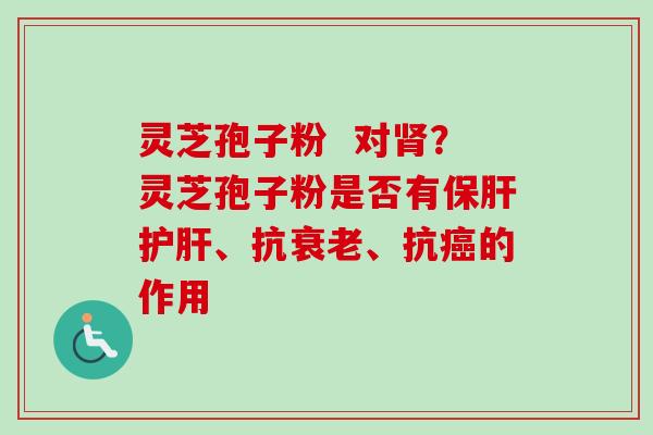 灵芝孢子粉 对肾?灵芝孢子粉是否有保肝护肝、抗衰老、抗癌的作用-第1张图片-卓越灵芝孢子粉 灵芝孢子粉 对肾?灵芝孢子粉是否有保肝护肝、抗衰老、抗癌的作用-第1张图片-卓越灵芝孢子粉