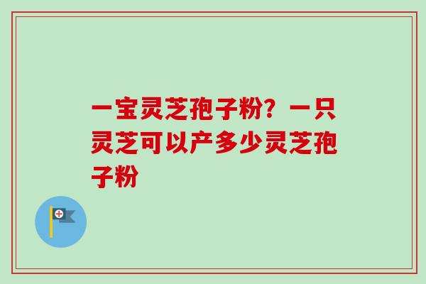 一宝灵芝孢子粉？一只灵芝可以产多少灵芝孢子粉-第1张图片-卓越灵芝孢子粉