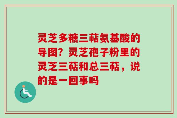 灵芝多糖三萜氨基酸的导图?灵芝孢子粉里的灵芝三萜和总三萜,说的是一回事吗-第1张图片-卓越灵芝孢子粉 灵芝多糖三萜氨基酸的导图?灵芝孢子粉里的灵芝三萜和总三萜,说的是一回事吗-第1张图片-卓越灵芝孢子粉