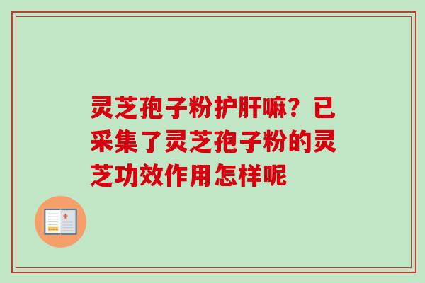 灵芝孢子粉护肝嘛?已采集了灵芝孢子粉的灵芝功效作用怎样呢-第1张图片-卓越灵芝孢子粉 灵芝孢子粉护肝嘛?已采集了灵芝孢子粉的灵芝功效作用怎样呢-第1张图片-卓越灵芝孢子粉