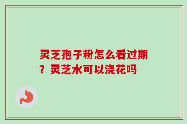 灵芝孢子粉怎么看过期？灵芝水可以浇花吗-第1张图片-卓越灵芝孢子粉