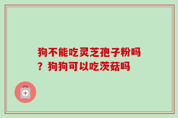 狗不能吃灵芝孢子粉吗?狗狗可以吃茨菇吗-第1张图片-卓越灵芝孢子粉 狗不能吃灵芝孢子粉吗?狗狗可以吃茨菇吗-第1张图片-卓越灵芝孢子粉