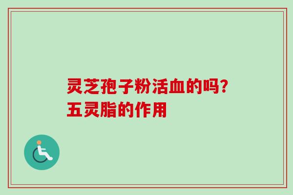 灵芝孢子粉活血的吗?五灵脂的作用-第1张图片-卓越灵芝孢子粉 灵芝孢子粉活血的吗?五灵脂的作用-第1张图片-卓越灵芝孢子粉