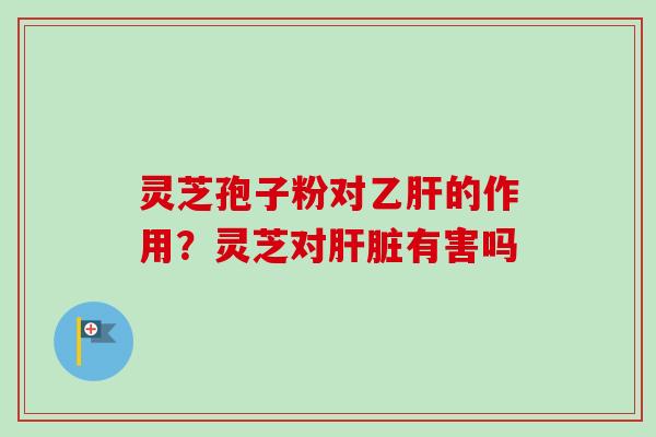 灵芝孢子粉对乙肝的作用?灵芝对肝脏有害吗-第1张图片-卓越灵芝孢子粉 灵芝孢子粉对乙肝的作用?灵芝对肝脏有害吗-第1张图片-卓越灵芝孢子粉