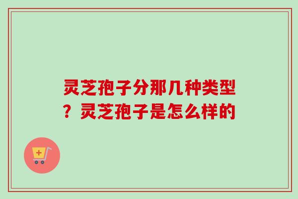 灵芝孢子分那几种类型?灵芝孢子是怎么样的-第1张图片-卓越灵芝孢子粉 灵芝孢子分那几种类型?灵芝孢子是怎么样的-第1张图片-卓越灵芝孢子粉