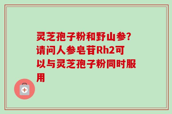 灵芝孢子粉和野山参？请问人参皂苷Rh2可以与灵芝孢子粉同时服用-第1张图片-卓越灵芝孢子粉