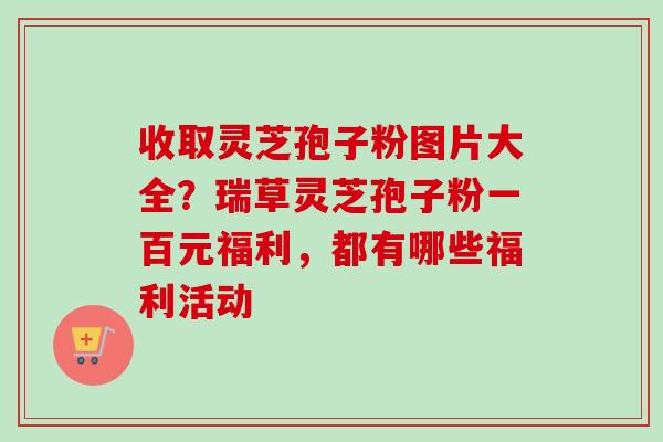 收取灵芝孢子粉图片大全？瑞草灵芝孢子粉一百元福利，都有哪些福利活动-第1张图片-卓越灵芝孢子粉