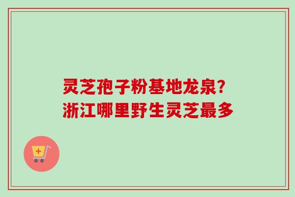 灵芝孢子粉基地龙泉？浙江哪里野生灵芝最多-第1张图片-卓越灵芝孢子粉