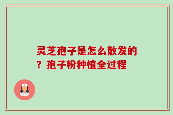 灵芝孢子是怎么散发的?孢子粉种植全过程-第1张图片-卓越灵芝孢子粉 灵芝孢子是怎么散发的?孢子粉种植全过程-第1张图片-卓越灵芝孢子粉