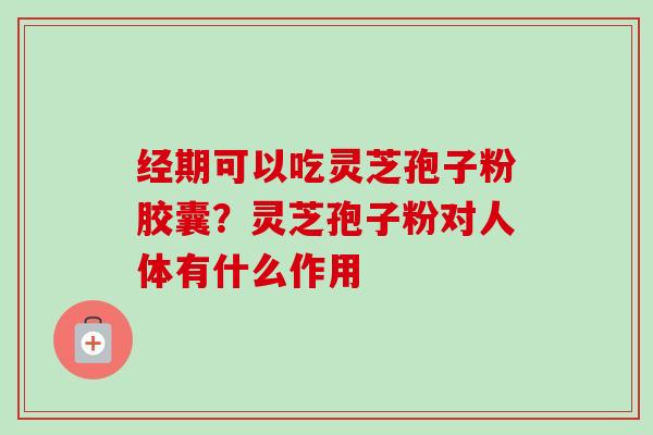 经期可以吃灵芝孢子粉胶囊？灵芝孢子粉对人体有什么作用-第1张图片-卓越灵芝孢子粉