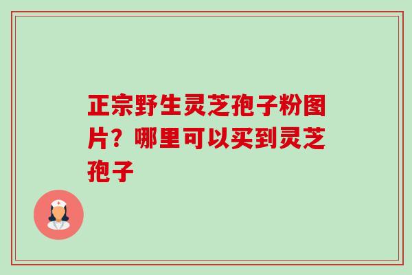 正宗野生灵芝孢子粉图片?哪里可以买到灵芝孢子-第1张图片-卓越灵芝孢子粉 正宗野生灵芝孢子粉图片?哪里可以买到灵芝孢子-第1张图片-卓越灵芝孢子粉