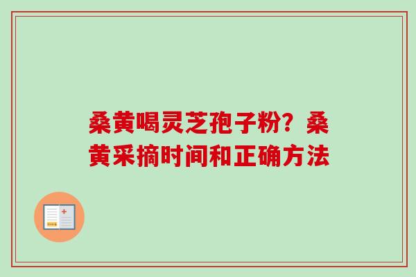 桑黄喝灵芝孢子粉?桑黄采摘时间和正确方法-第1张图片-卓越灵芝孢子粉 桑黄喝灵芝孢子粉?桑黄采摘时间和正确方法-第1张图片-卓越灵芝孢子粉