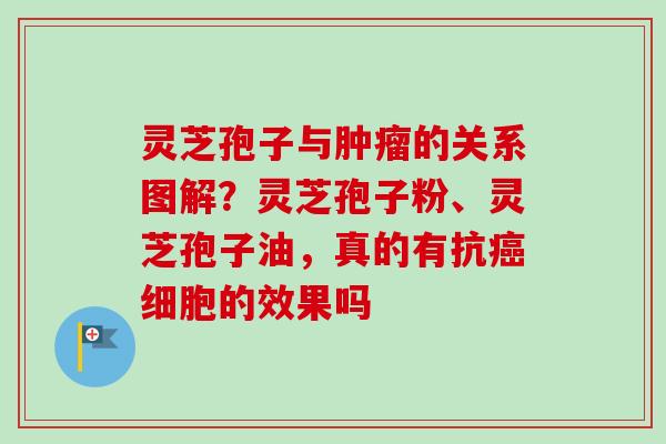 灵芝孢子与肿瘤的关系图解？灵芝孢子粉、灵芝孢子油，真的有抗癌细胞的效果吗-第1张图片-卓越灵芝孢子粉