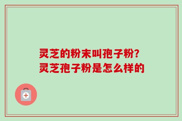 灵芝的粉末叫孢子粉？灵芝孢子粉是怎么样的-第1张图片-卓越灵芝孢子粉
