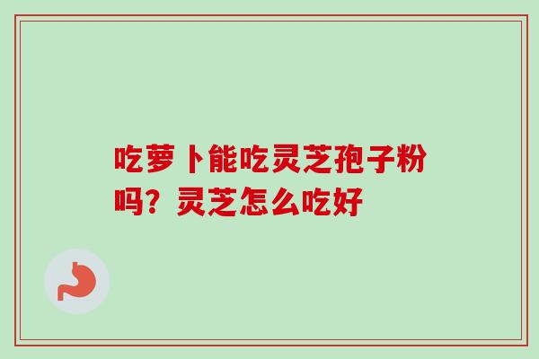 吃萝卜能吃灵芝孢子粉吗?灵芝怎么吃好-第1张图片-卓越灵芝孢子粉 吃萝卜能吃灵芝孢子粉吗?灵芝怎么吃好-第1张图片-卓越灵芝孢子粉