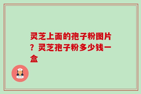 灵芝上面的孢子粉图片？灵芝孢子粉多少钱一盒-第1张图片-卓越灵芝孢子粉