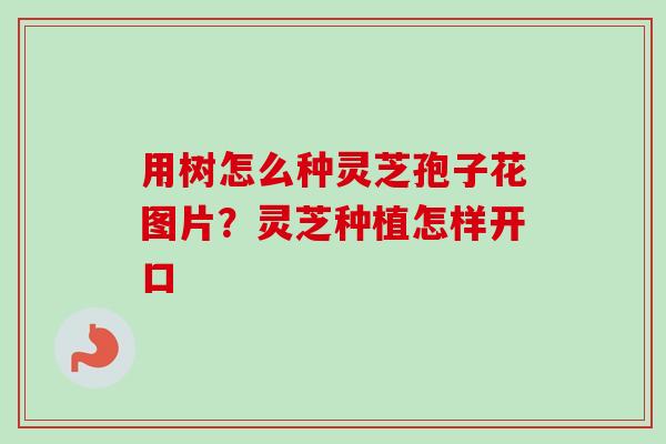 用树怎么种灵芝孢子花图片?灵芝种植怎样开口-第1张图片-卓越灵芝孢子粉 用树怎么种灵芝孢子花图片?灵芝种植怎样开口-第1张图片-卓越灵芝孢子粉
