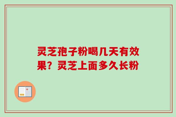 灵芝孢子粉喝几天有效果？灵芝上面多久长粉-第1张图片-卓越灵芝孢子粉