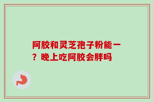 阿胶和灵芝孢子粉能一？晚上吃阿胶会胖吗-第1张图片-卓越灵芝孢子粉
