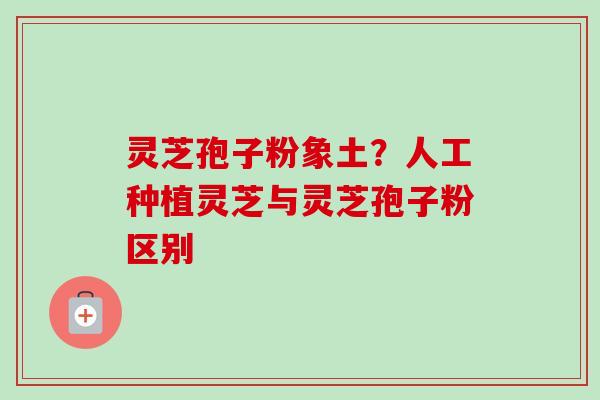 灵芝孢子粉象土?人工种植灵芝与灵芝孢子粉区别-第1张图片-卓越灵芝孢子粉 灵芝孢子粉象土?人工种植灵芝与灵芝孢子粉区别-第1张图片-卓越灵芝孢子粉