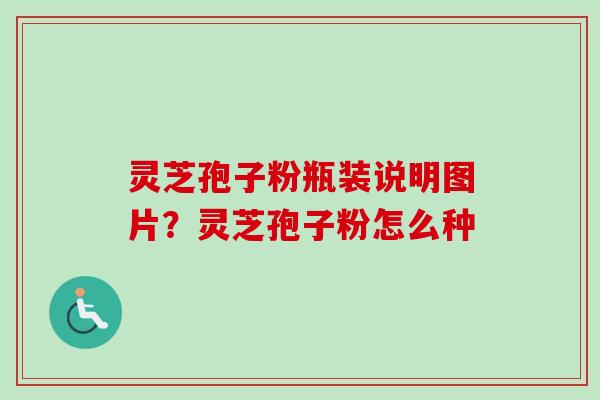 灵芝孢子粉瓶装说明图片?灵芝孢子粉怎么种-第1张图片-卓越灵芝孢子粉 灵芝孢子粉瓶装说明图片?灵芝孢子粉怎么种-第1张图片-卓越灵芝孢子粉