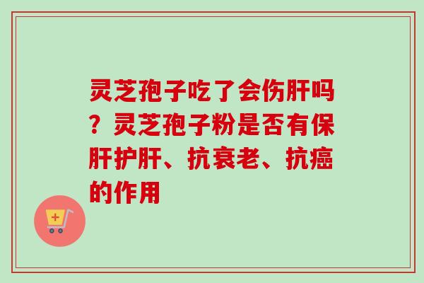 灵芝孢子吃了会伤肝吗？灵芝孢子粉是否有保肝护肝、抗衰老、抗癌的作用-第1张图片-卓越灵芝孢子粉