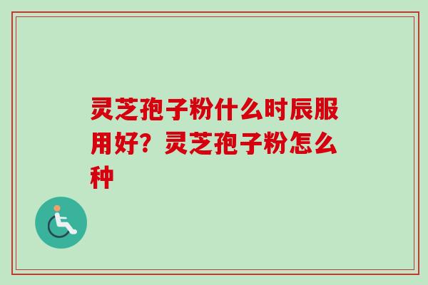 灵芝孢子粉什么时辰服用好?灵芝孢子粉怎么种-第1张图片-卓越灵芝孢子粉 灵芝孢子粉什么时辰服用好?灵芝孢子粉怎么种-第1张图片-卓越灵芝孢子粉